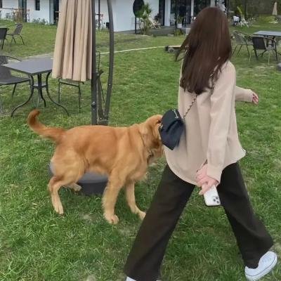 枪之子